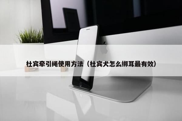 杜宾牵引绳使用方法（杜宾犬怎么绑耳最有效）