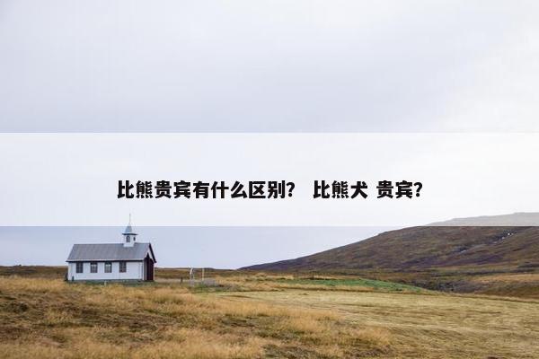 比熊贵宾有什么区别？ 比熊犬 贵宾？