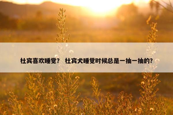 杜宾喜欢睡觉？ 杜宾犬睡觉时候总是一抽一抽的？