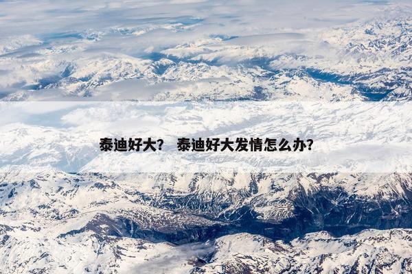 泰迪好大？ 泰迪好大发情怎么办？