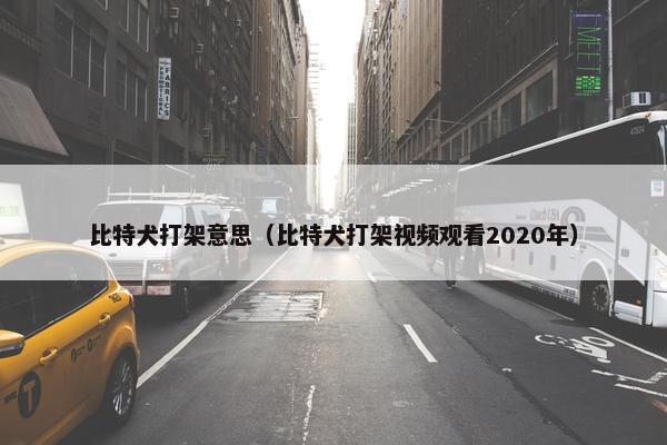 比特犬打架意思（比特犬打架视频观看2020年）