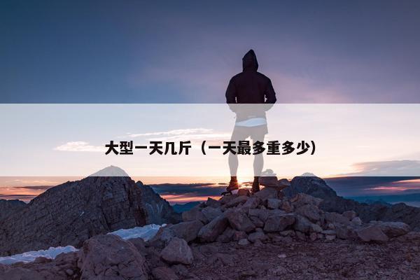 大型一天几斤（一天最多重多少）