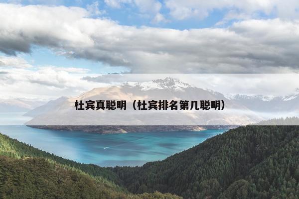杜宾真聪明（杜宾排名第几聪明）