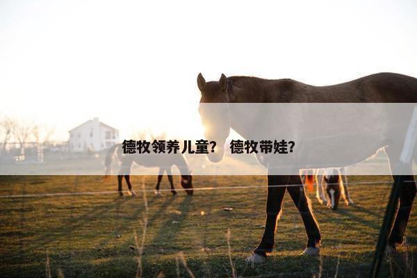 德牧领养儿童？ 德牧带娃？