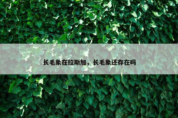 长毛象在拉斯加，长毛象还存在吗