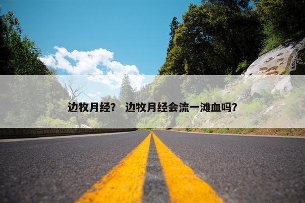 边牧月经？ 边牧月经会流一滩血吗？
