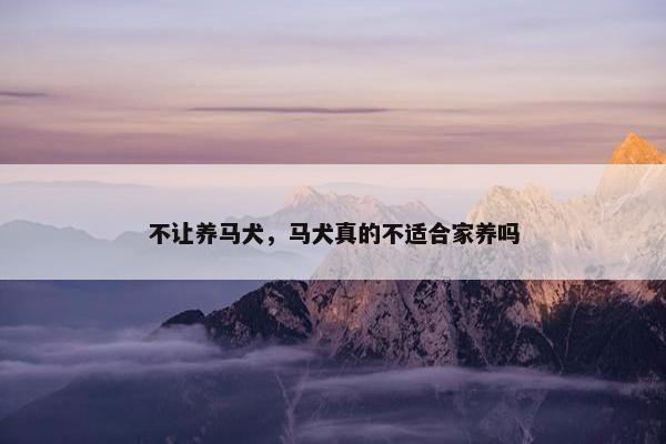 不让养马犬，马犬真的不适合家养吗