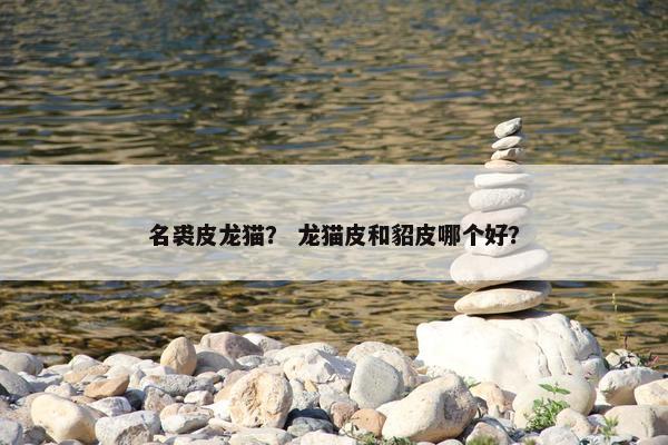 名裘皮龙猫？ 龙猫皮和貂皮哪个好？