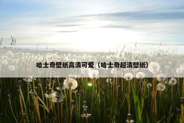 哈士奇壁纸高清可爱（哈士奇超清壁纸）