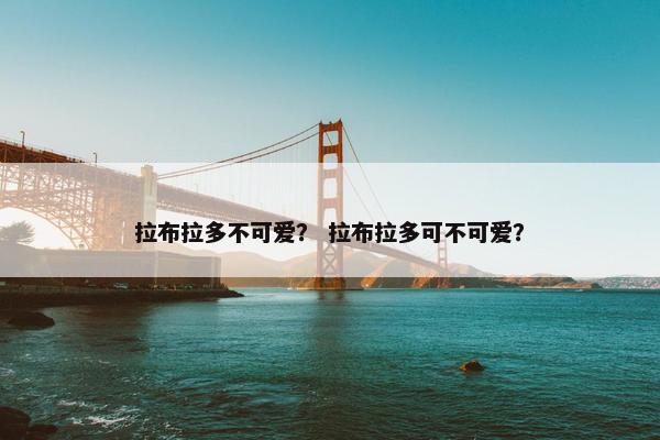拉布拉多不可爱？ 拉布拉多可不可爱？