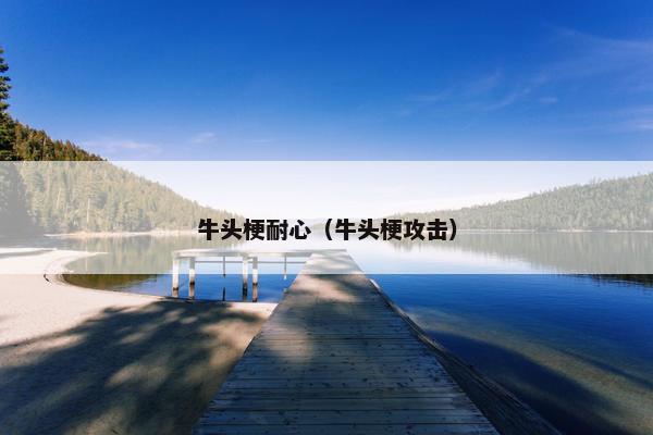 牛头梗耐心（牛头梗攻击）