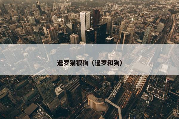 暹罗猫狼狗（暹罗和狗）
