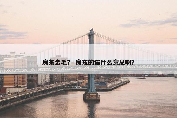 房东金毛？ 房东的猫什么意思啊？