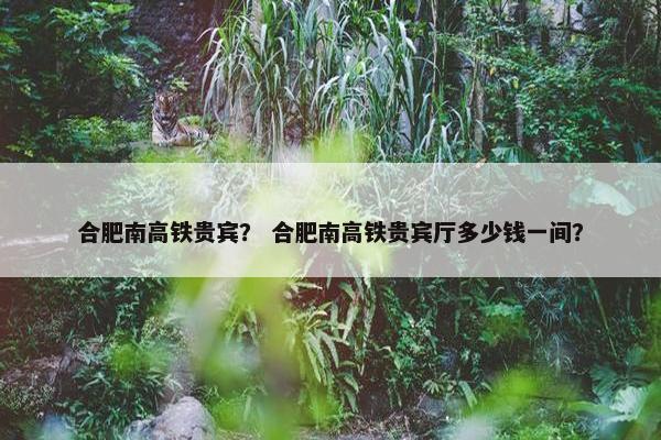合肥南高铁贵宾？ 合肥南高铁贵宾厅多少钱一间？