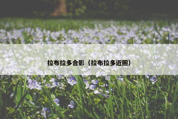 拉布拉多合影（拉布拉多近照）