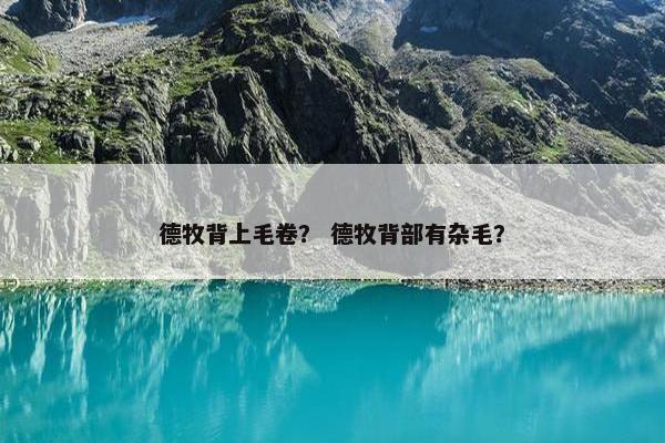 德牧背上毛卷？ 德牧背部有杂毛？