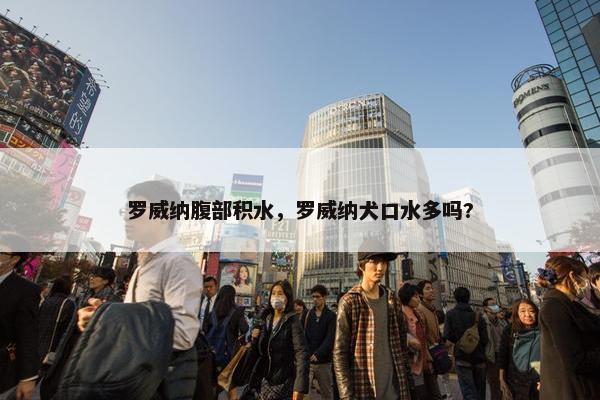 罗威纳腹部积水，罗威纳犬口水多吗?