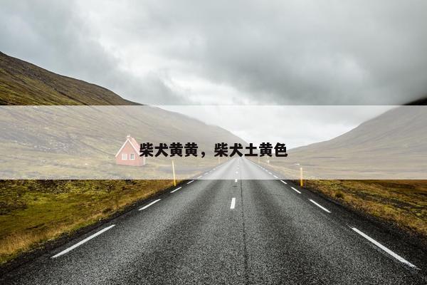 柴犬黄黄，柴犬土黄色