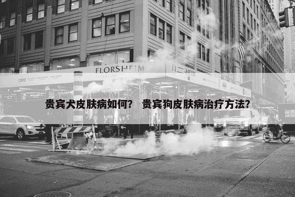 贵宾犬皮肤病如何？ 贵宾狗皮肤病治疗方法？