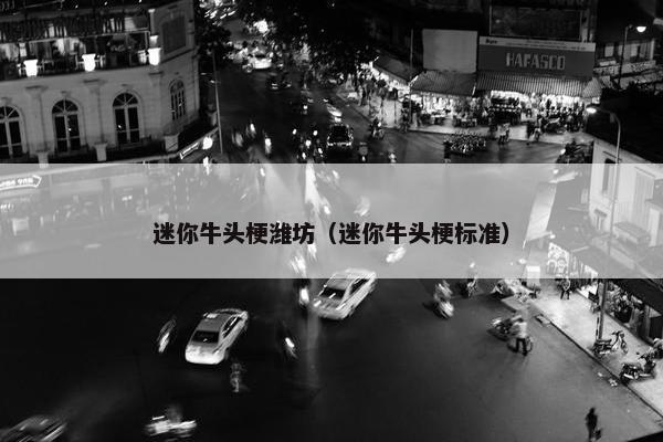 迷你牛头梗潍坊（迷你牛头梗标准）