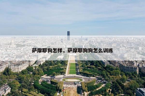 萨摩耶狗怎样，萨摩耶狗狗怎么训练