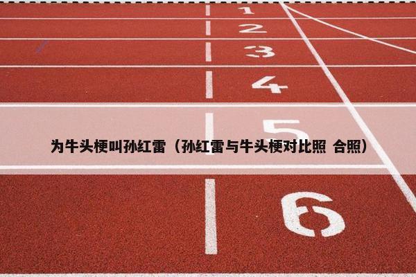 为牛头梗叫孙红雷（孙红雷与牛头梗对比照 合照）