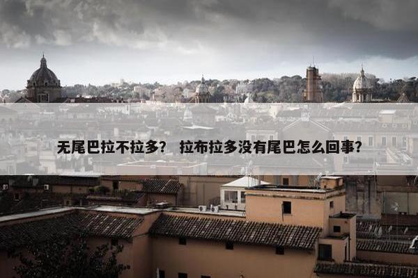 无尾巴拉不拉多？ 拉布拉多没有尾巴怎么回事？