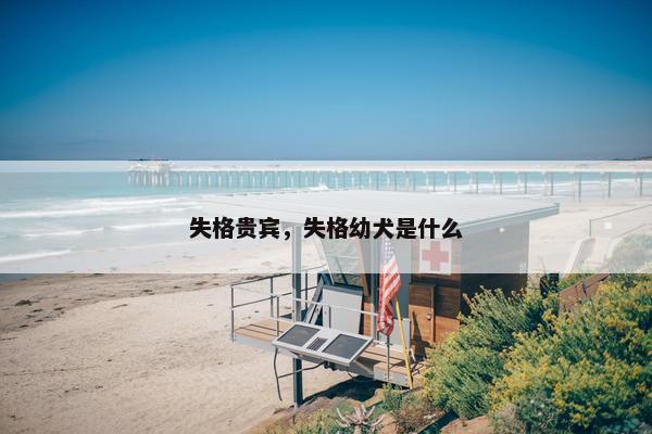 失格贵宾，失格幼犬是什么