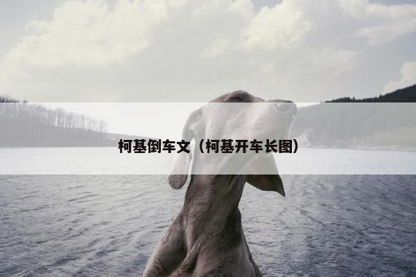 柯基倒车文（柯基开车长图）