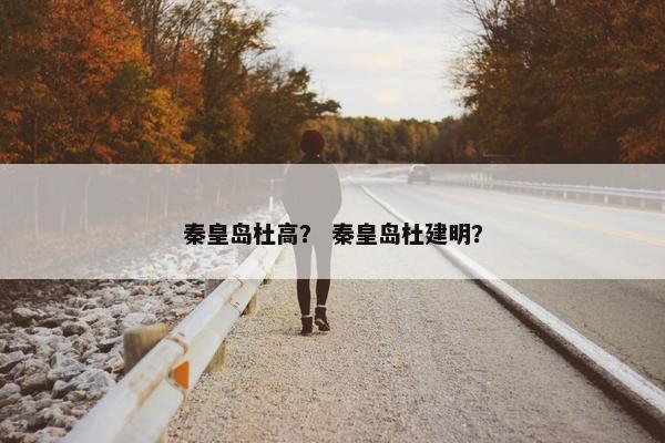 秦皇岛杜高？ 秦皇岛杜建明？