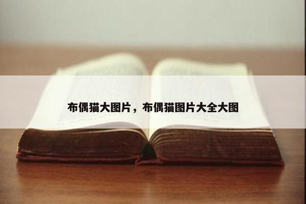 布偶猫大图片，布偶猫图片大全大图