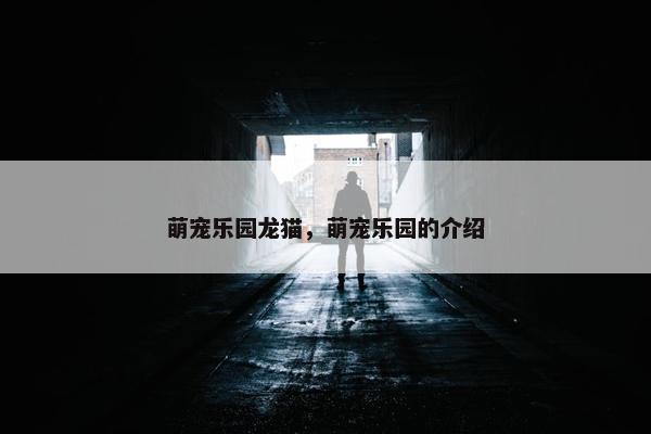 萌宠乐园龙猫，萌宠乐园的介绍