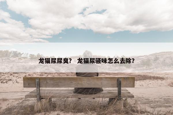 龙猫尿尿臭？ 龙猫尿骚味怎么去除？