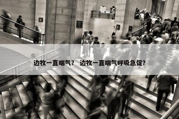 边牧一直喘气？ 边牧一直喘气呼吸急促？