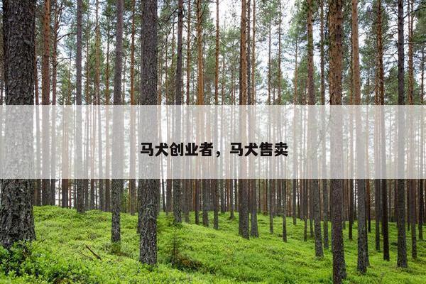 马犬创业者，马犬售卖