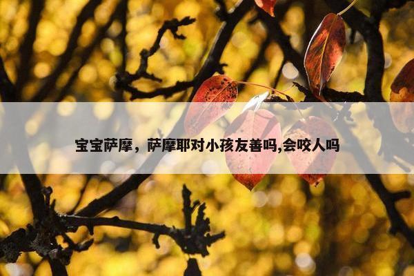 宝宝萨摩，萨摩耶对小孩友善吗,会咬人吗