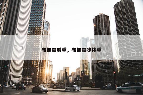 布偶猫增重，布偶猫咪体重