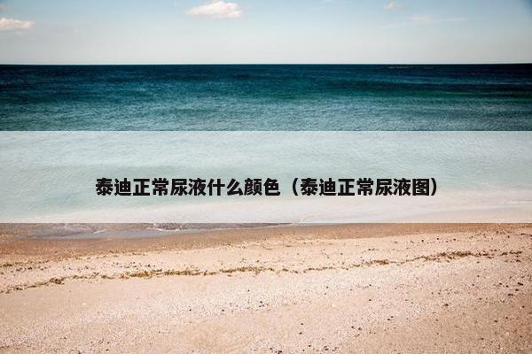 泰迪正常尿液什么颜色（泰迪正常尿液图）