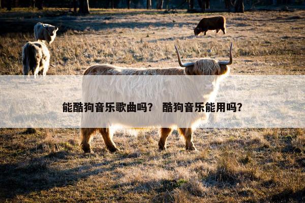 能酷狗音乐歌曲吗？ 酷狗音乐能用吗？