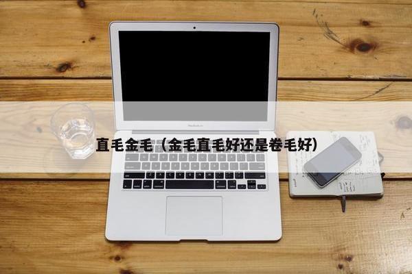 直毛金毛（金毛直毛好还是卷毛好）