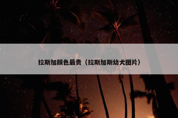 拉斯加颜色最贵（拉斯加斯幼犬图片）