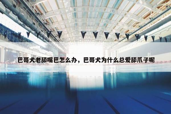 巴哥犬老舔嘴巴怎么办，巴哥犬为什么总爱舔爪子呢