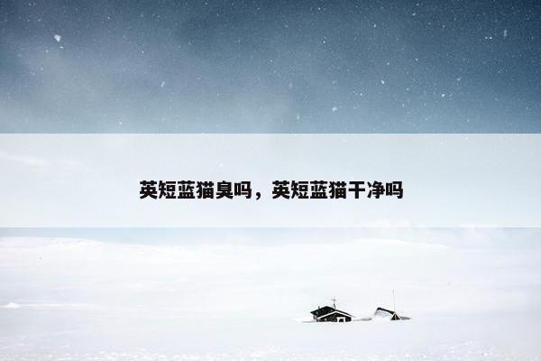 英短蓝猫臭吗，英短蓝猫干净吗