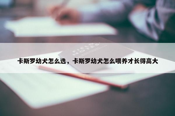 卡斯罗幼犬怎么选，卡斯罗幼犬怎么喂养才长得高大