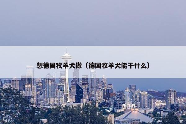 想德国牧羊犬做（德国牧羊犬能干什么）