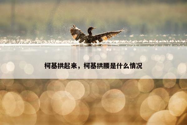 柯基拱起来，柯基拱腰是什么情况