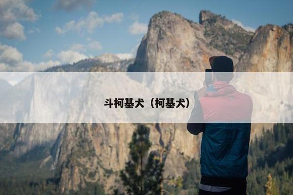 斗柯基犬（柯基犬）