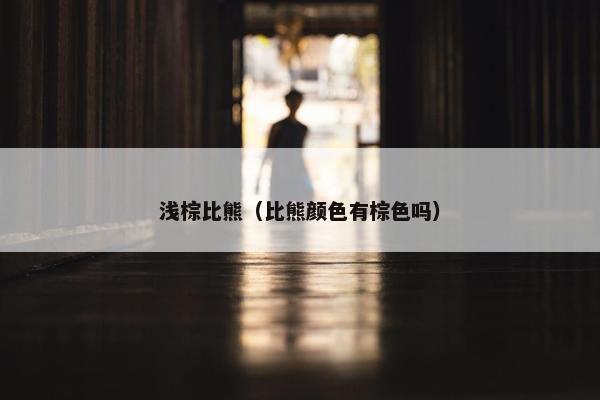 浅棕比熊（比熊颜色有棕色吗）