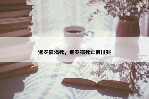 暹罗猫渴死，暹罗猫死亡前征兆
