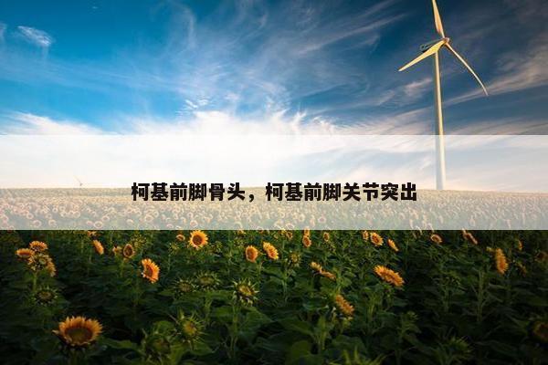 柯基前脚骨头，柯基前脚关节突出
